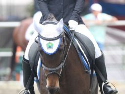 Hari Pertama Cabor Berkuda Equestrian Kota Surabaya dan Batu Berbagi Emas