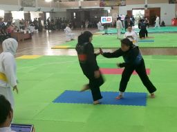Cabor Pencak Silat Porprov IX Jatim Digelar, 515 Atlet Bertanding Rebut 22 Medali Emas