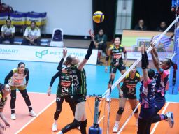 Ketika Pesta Nyaris Padam, Phonska Plus Bangkit