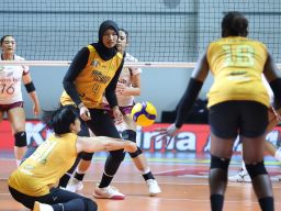 Final Four Proliga 2026: Tolak Gaya Glamor, Gresik Petrokimia Pilih "Setia"