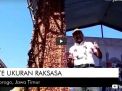Video: Sate Ayam Raksasa di Ponorogo