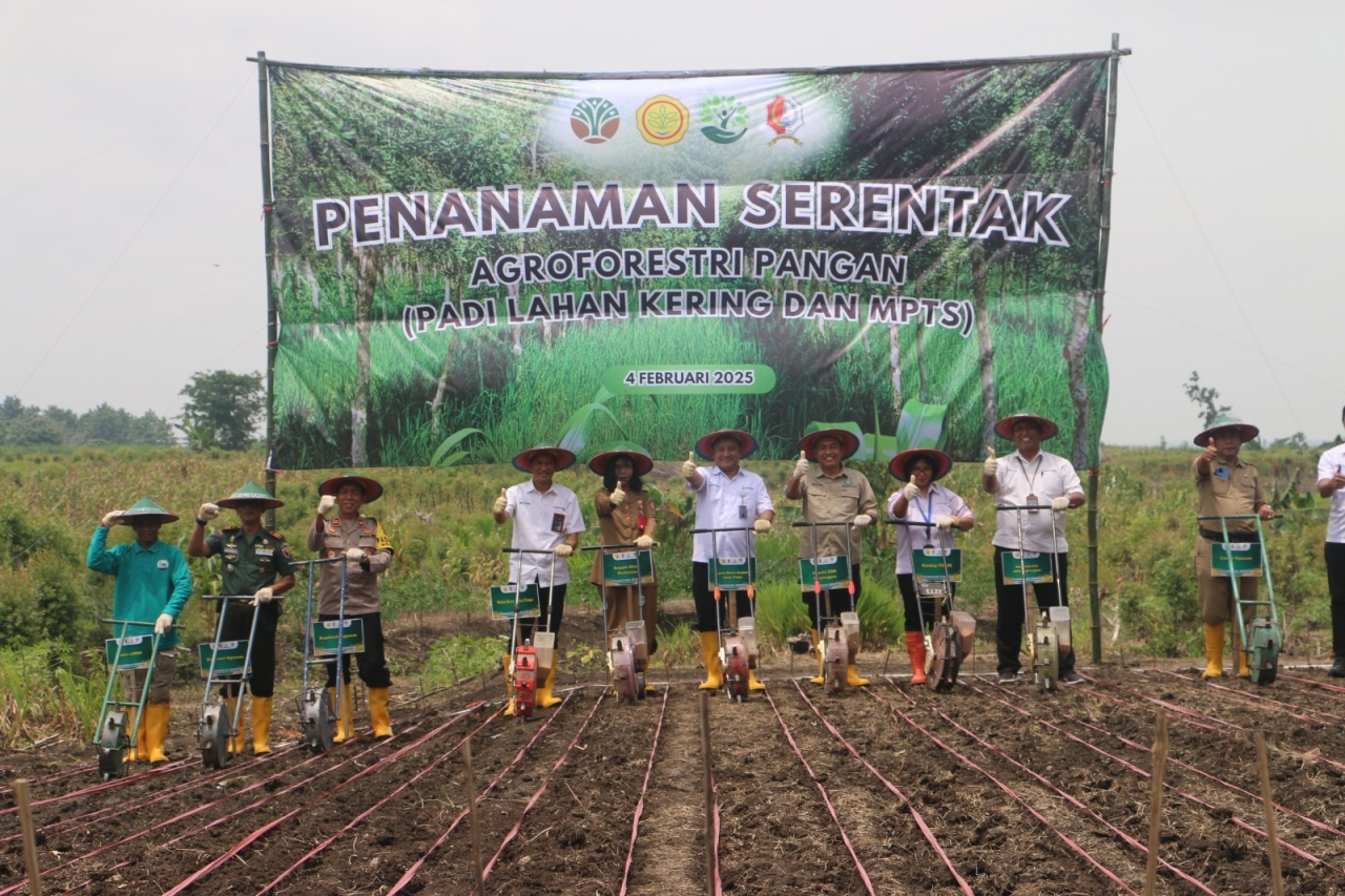 Perhutani Divre Jatim Tanam Padi Gogo di Bojonegoro, Dukung Swasembada Pangan